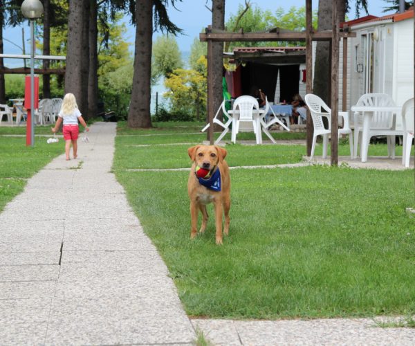 camping san benedetto relais aan de zuidkant van het Gardameer